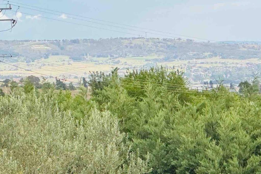 Photo of Others in Raglan