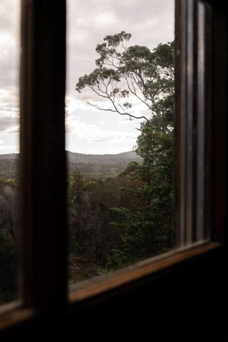 Photo of Others in Binalong Bay
