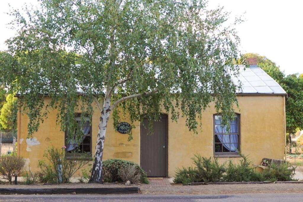 Photo of Others in Penola