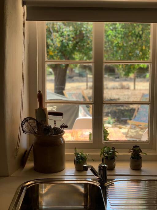 Photo of Kitchen in Penola