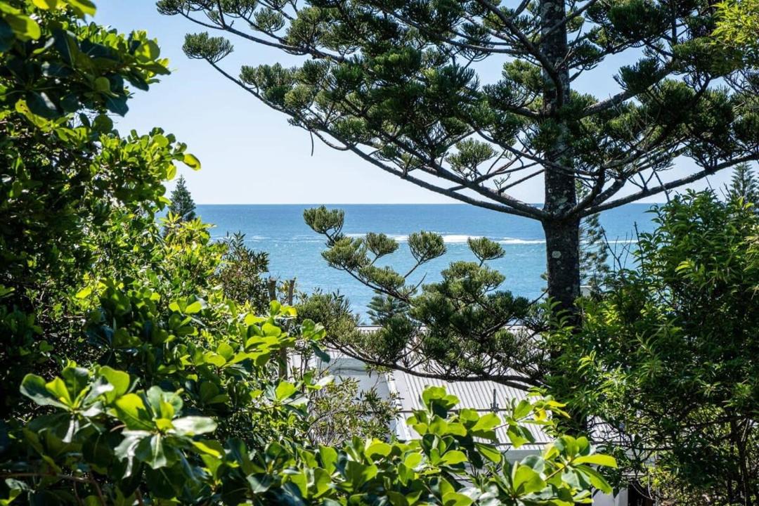 Photo of Others in Moffat Beach
