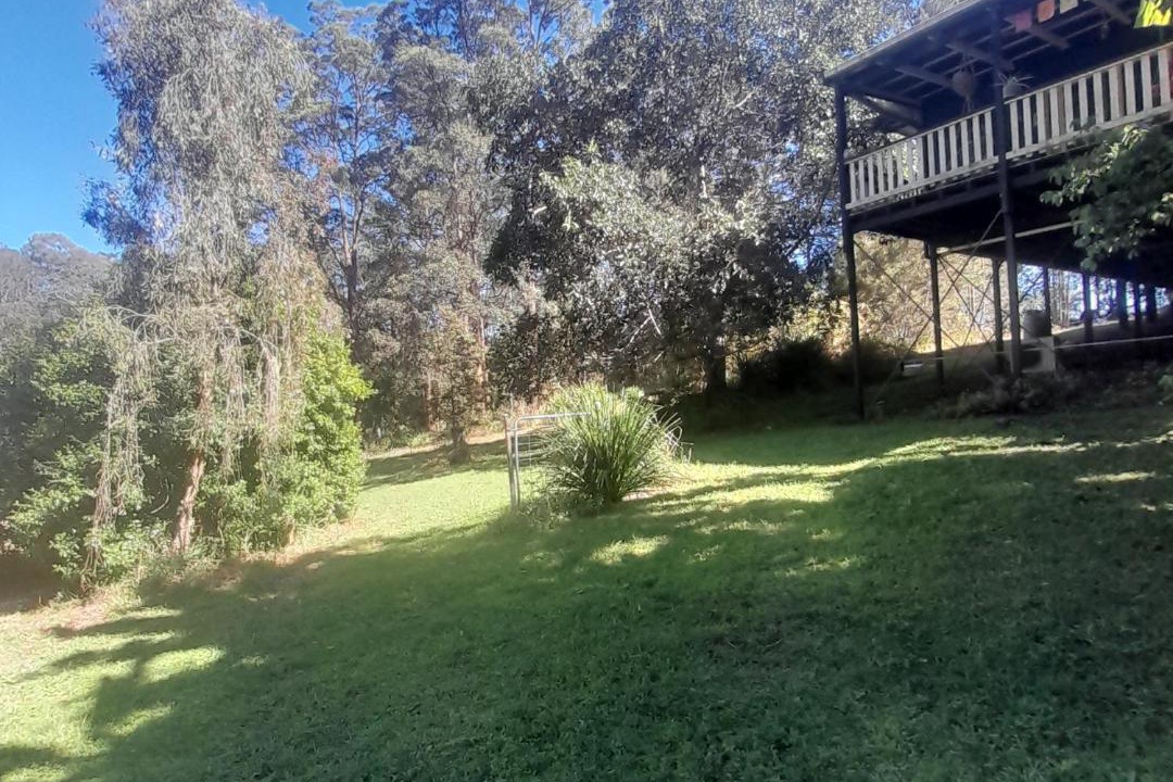 Photo of Others in Nimbin