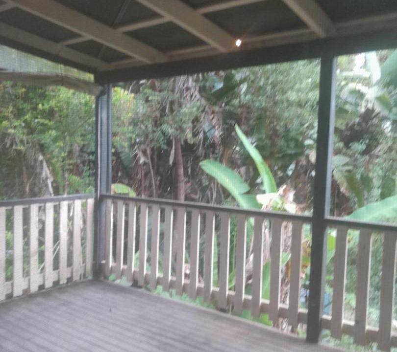 Photo of Others in Nimbin