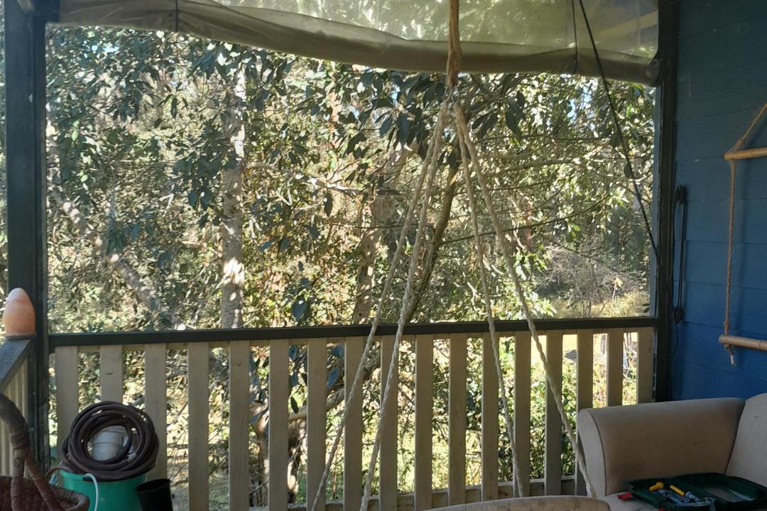 Photo of Others in Nimbin