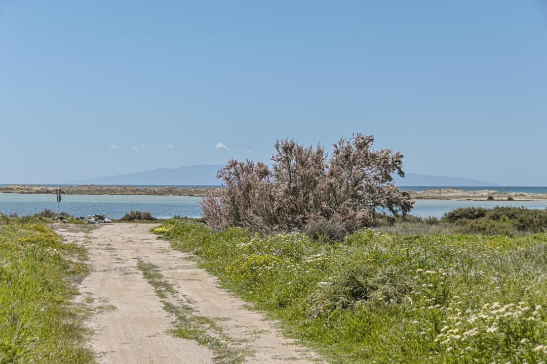 Photo of Others in Mikri Vigla