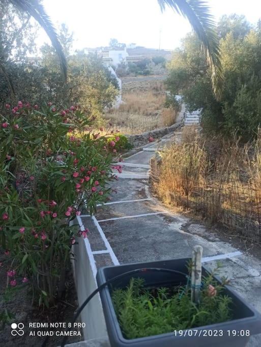 Photo of Others in Serifos