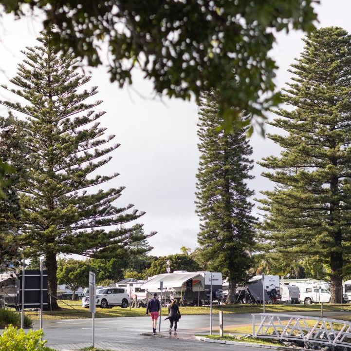 Photo of Buildings in Forster