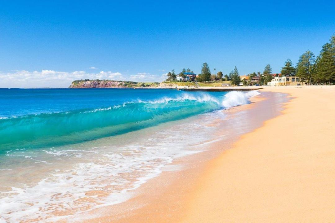 Photo of Others in Narrabeen