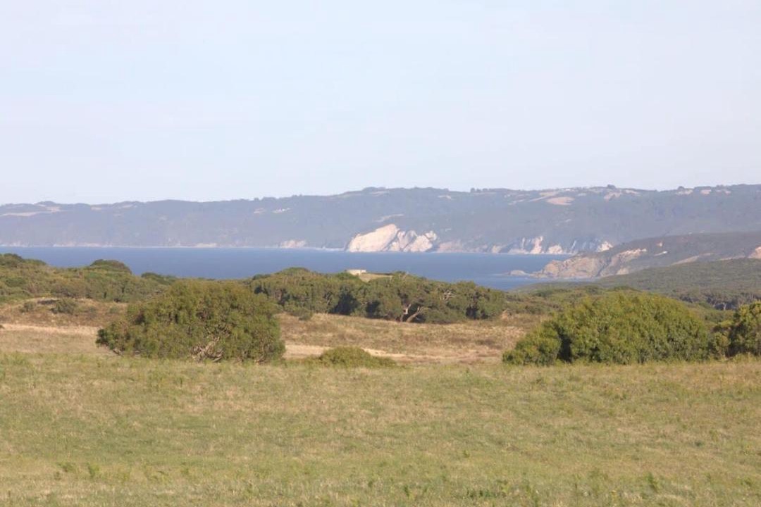 Photo of Outdoor in Cape Otway