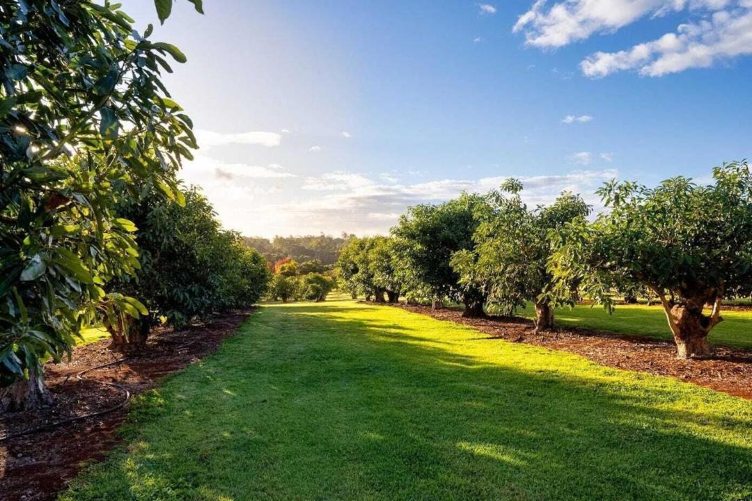 Photo of Others in North Tamborine