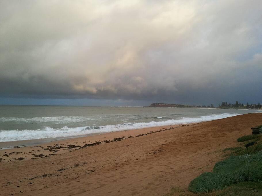 Photo of Others in Narrabeen