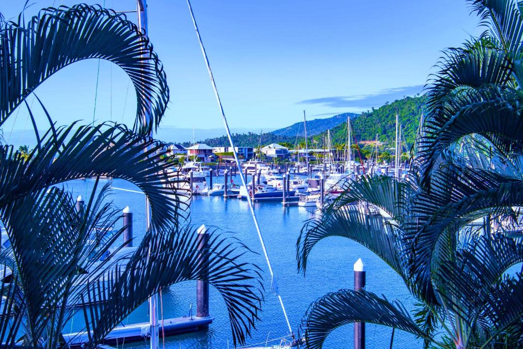 Photo of Others in Airlie Beach