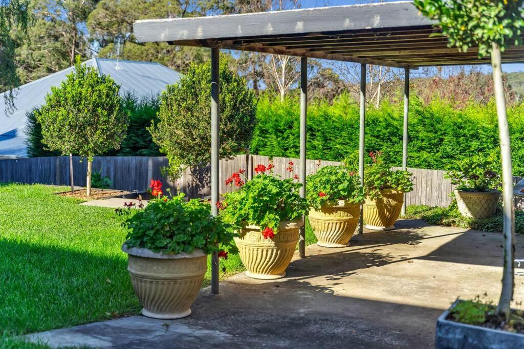 Photo of Others in Berrima