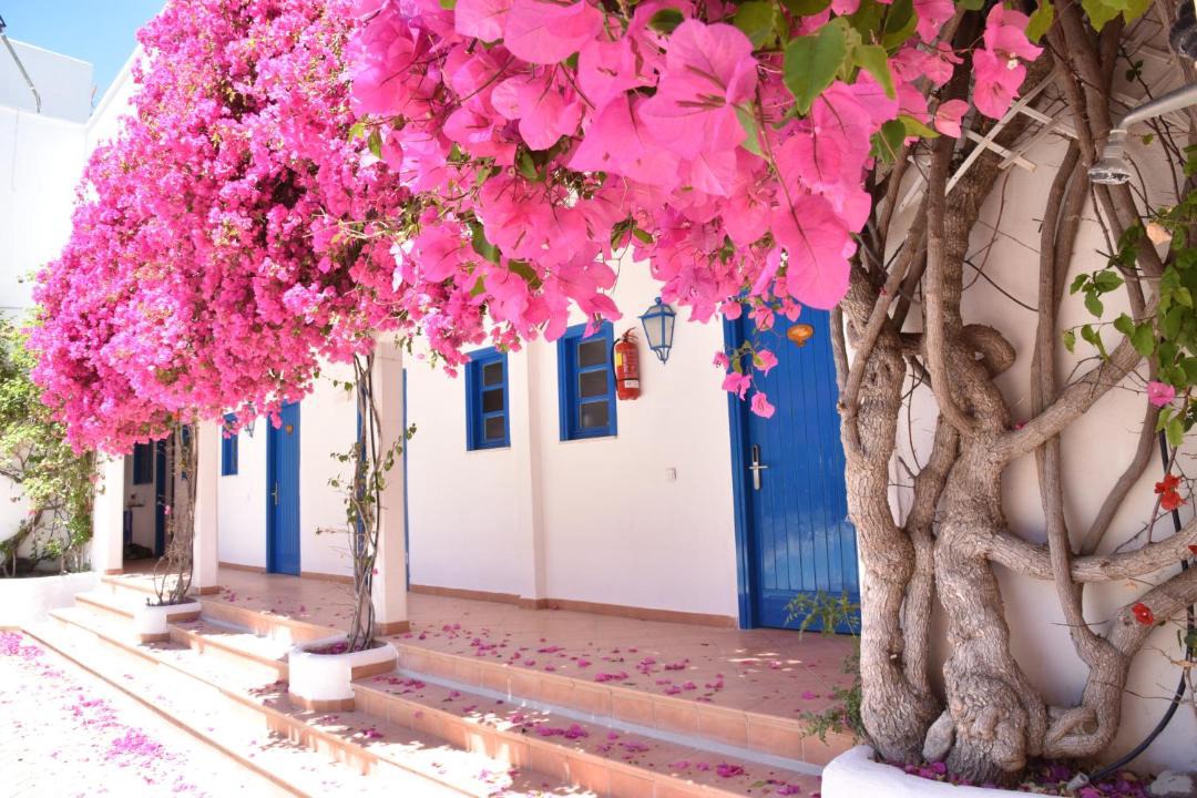 Photo of Others in Livadia