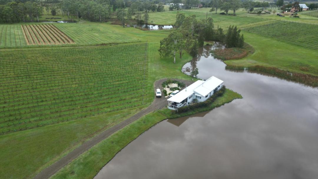Photo of Others in Lovedale