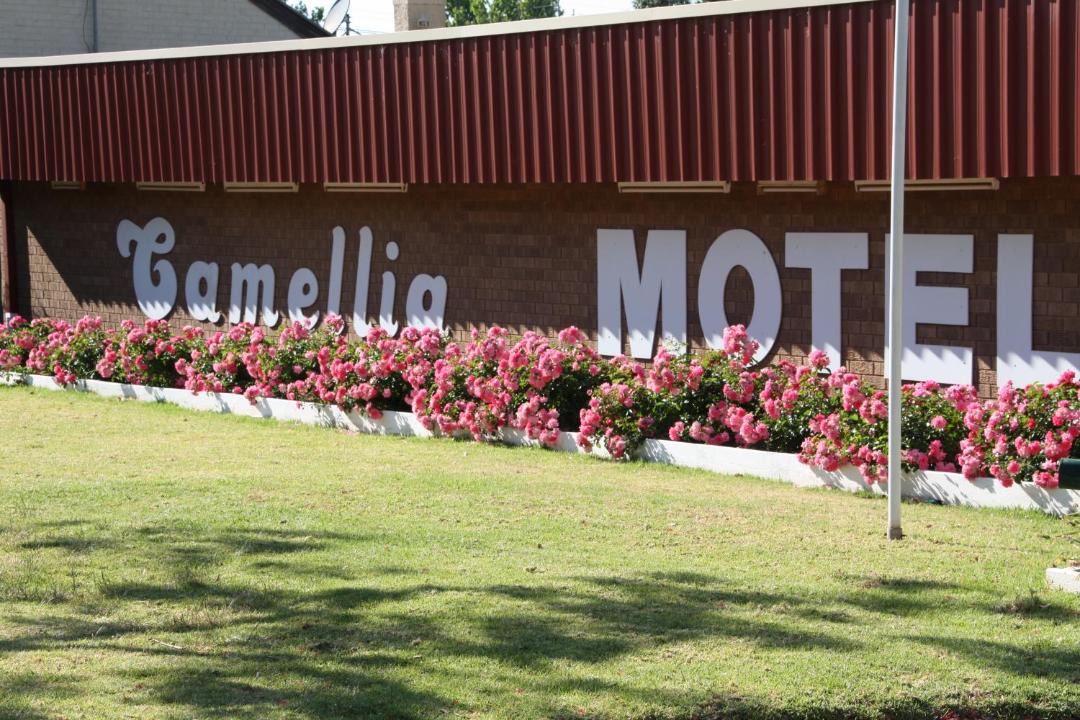 Photo of Others in Narrandera
