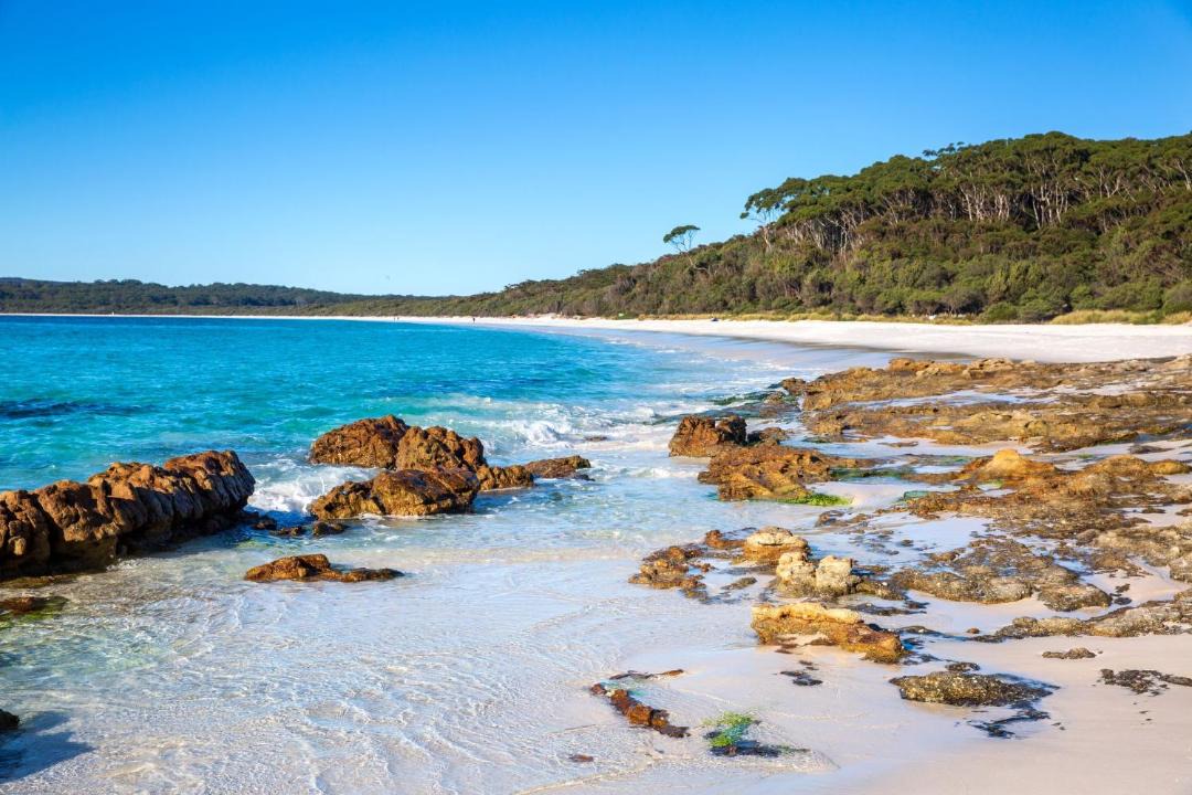 Photo of Others in Hyams Beach