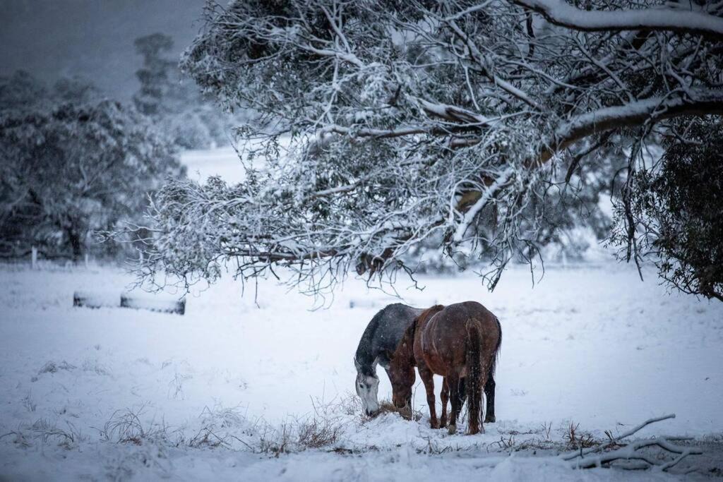Photo of Others in Jindabyne