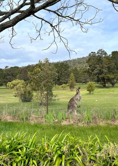Photo of Outdoor in Mount Beauty