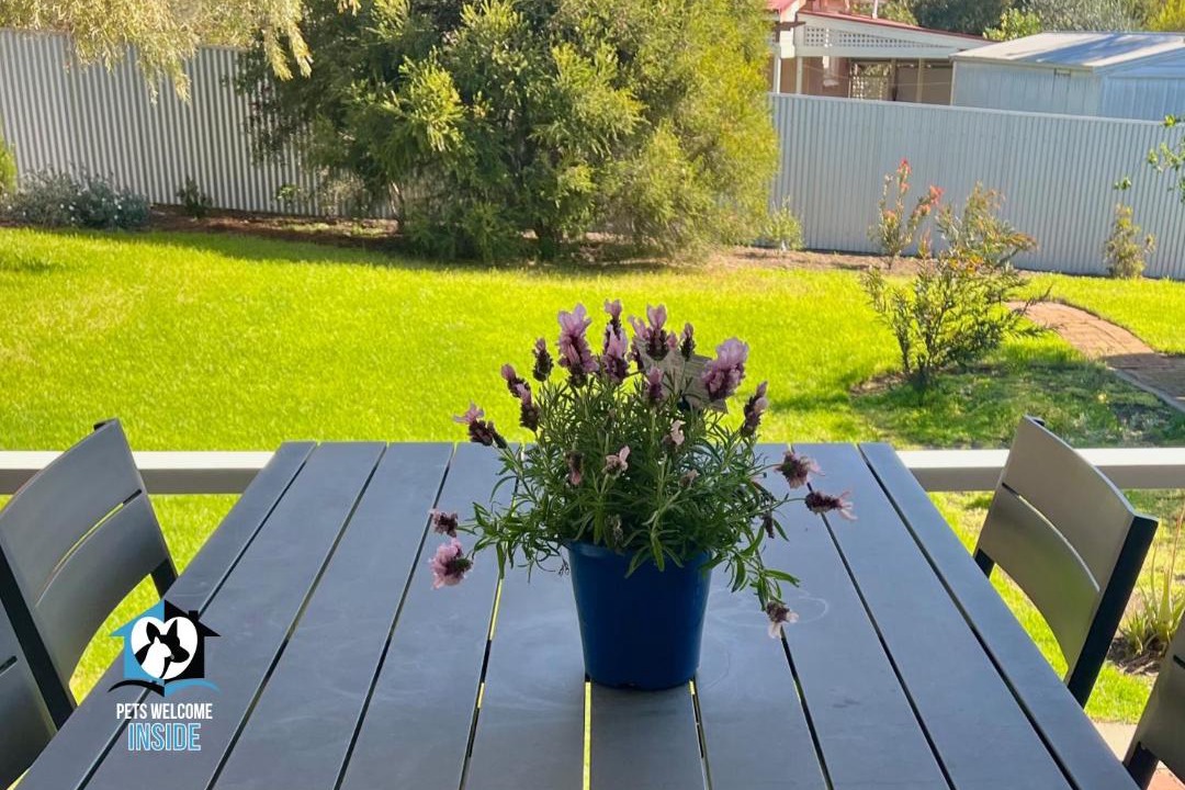 Photo of Others in Port Elliot