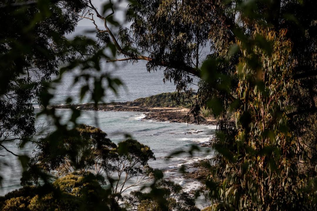 Photo of Others in Wye River