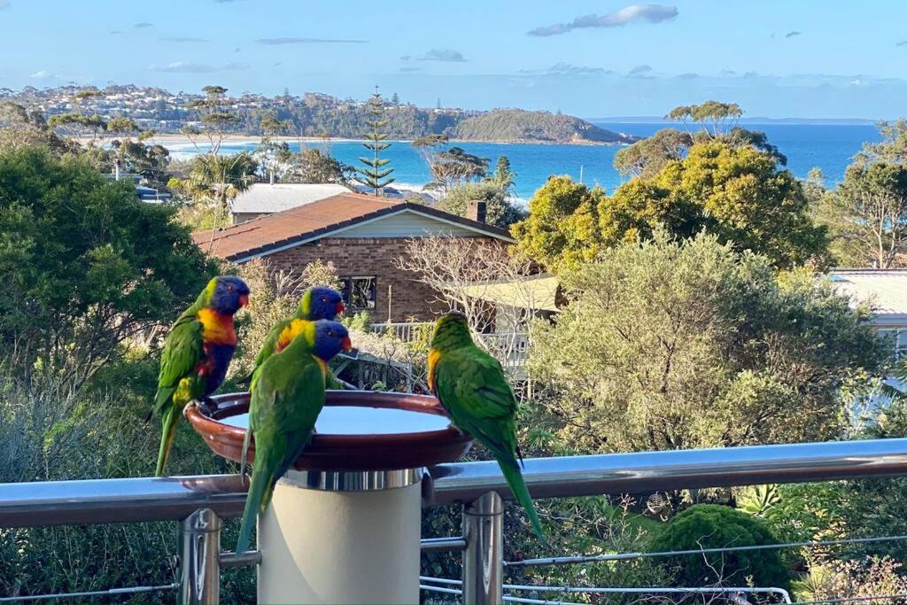 Photo of Others in Mollymook