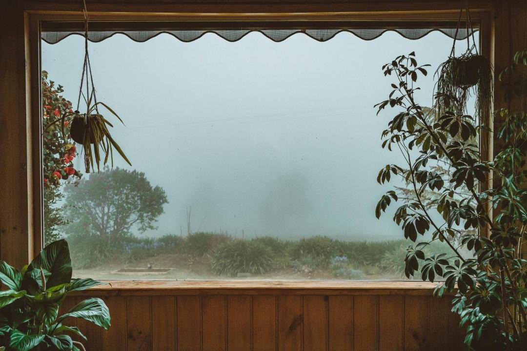 Photo of Others in Rawson