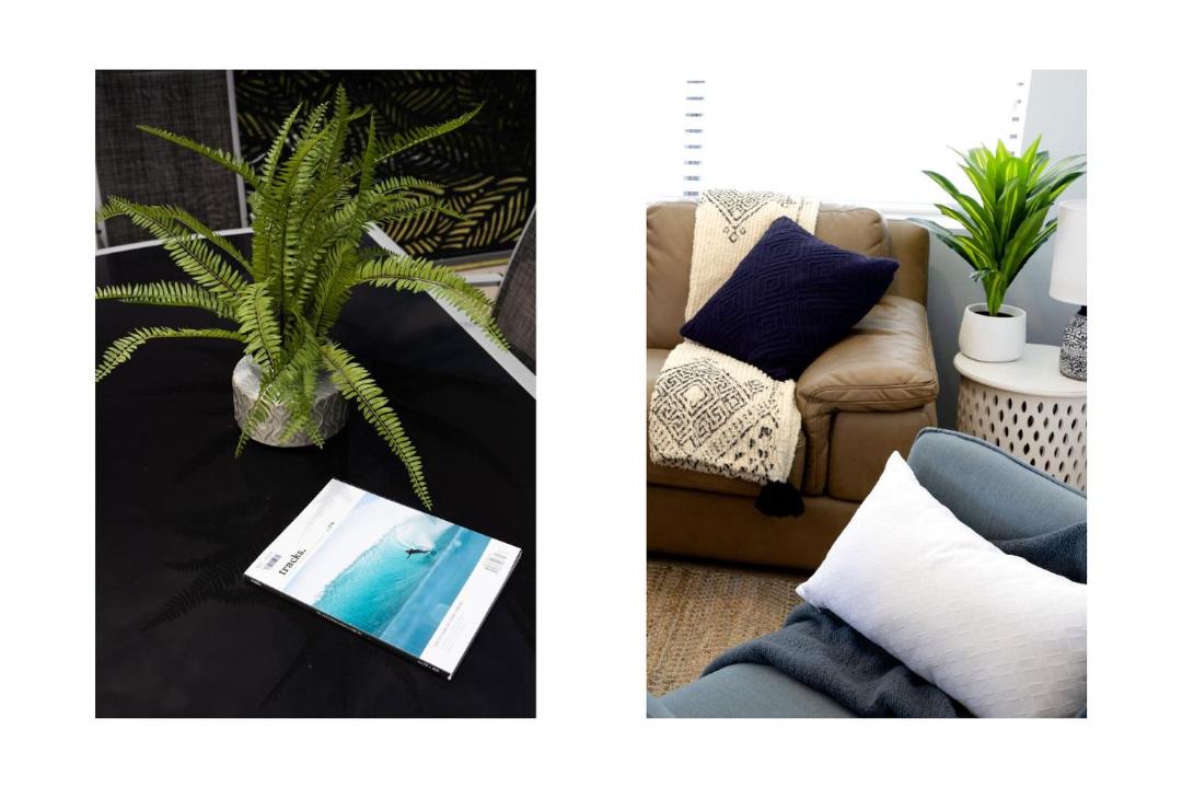 Photo of Livingroom in Ulladulla