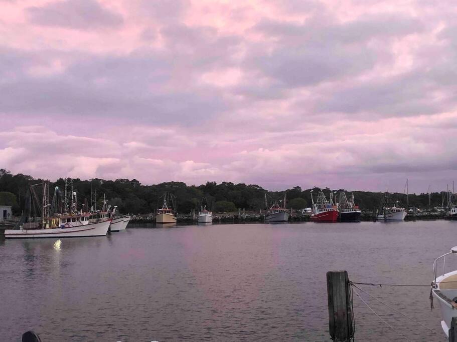 Photo of Outdoor in Iluka