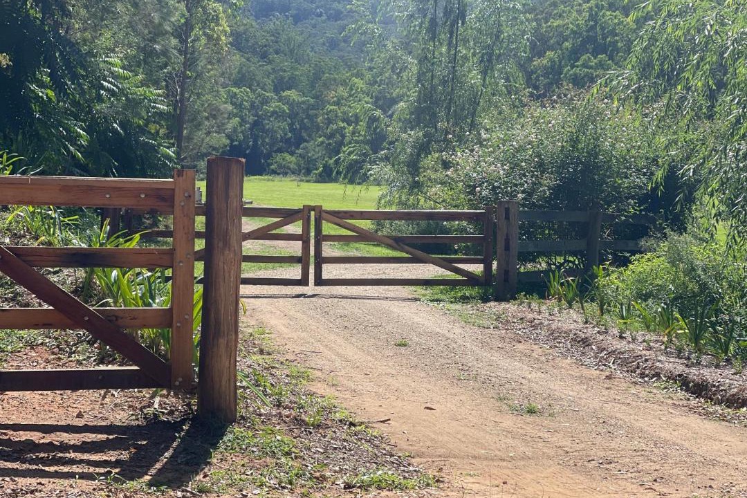 Photo of Others in Wollombi