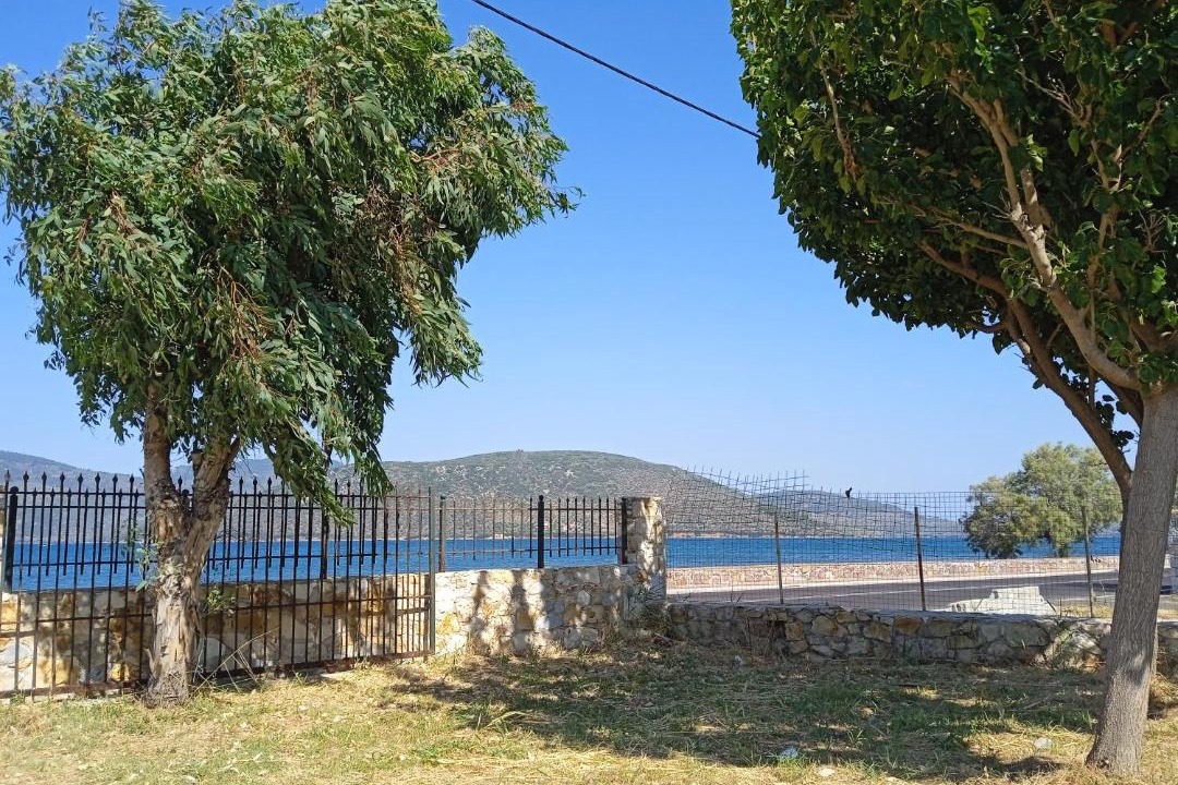 Photo of Others in Apidias Lakkos