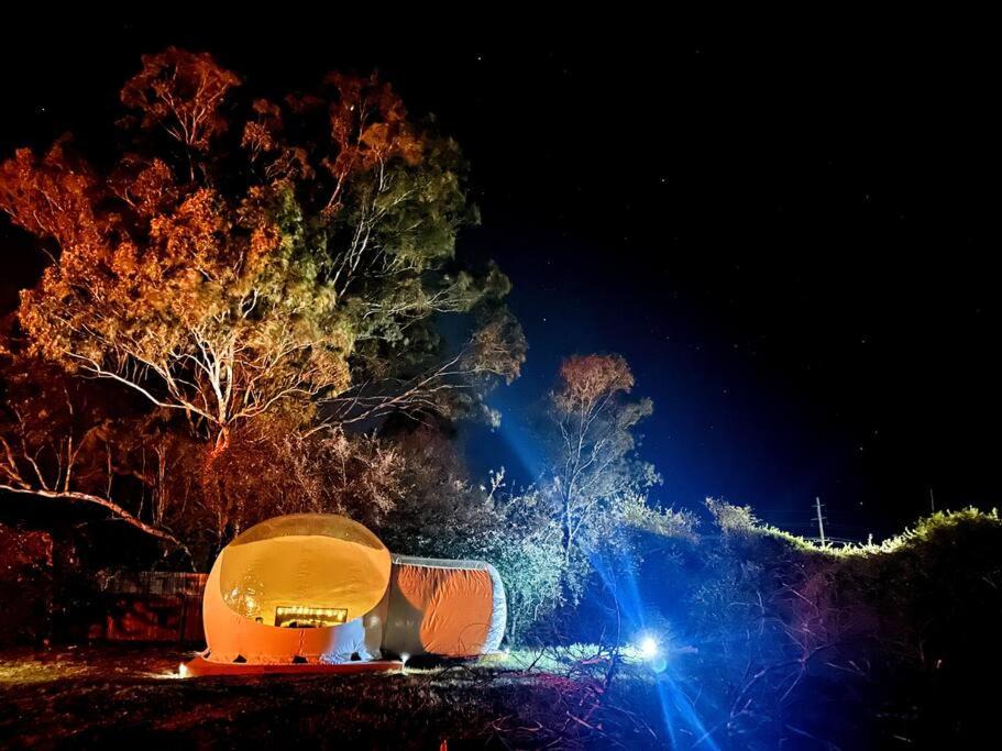 Photo of Others in Armidale