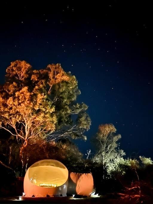Photo of Others in Armidale