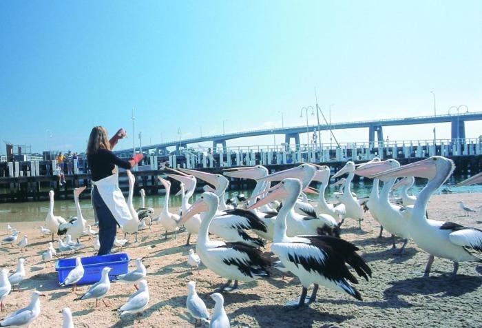 Photo of Others in San Remo