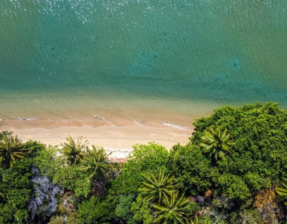 Photo of Others in Wonga Beach