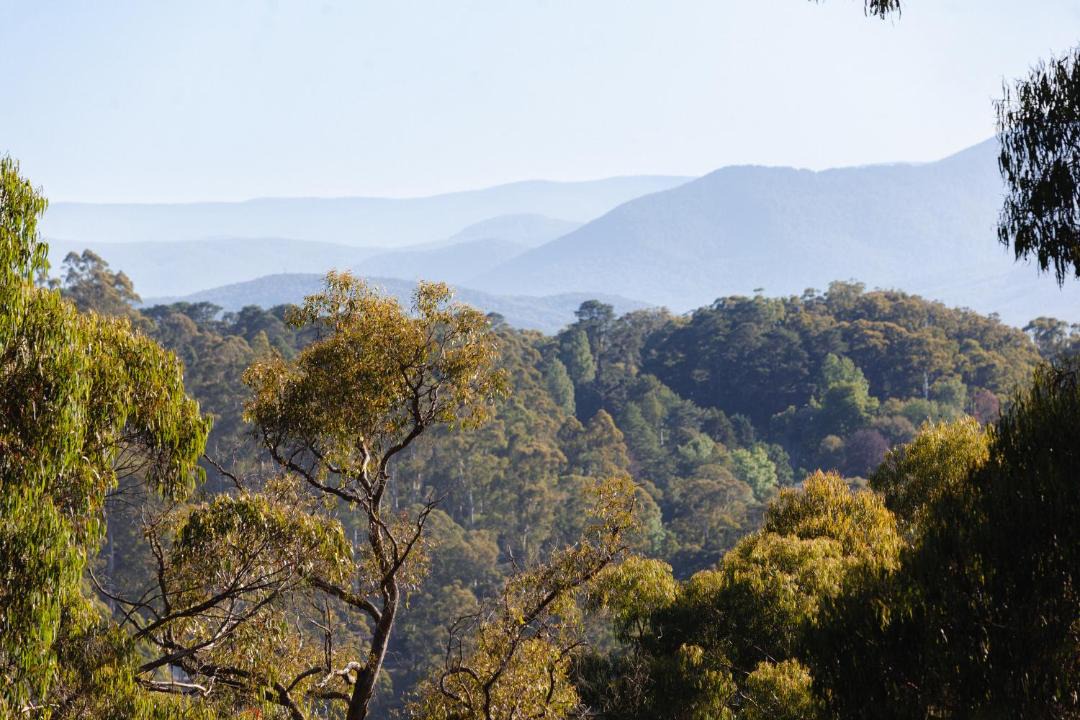 Photo of Others in Kalorama