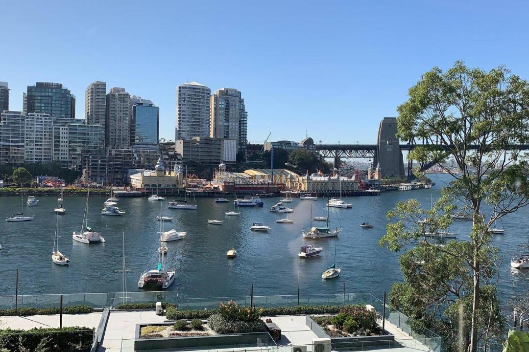 Photo of Others in McMahons Point