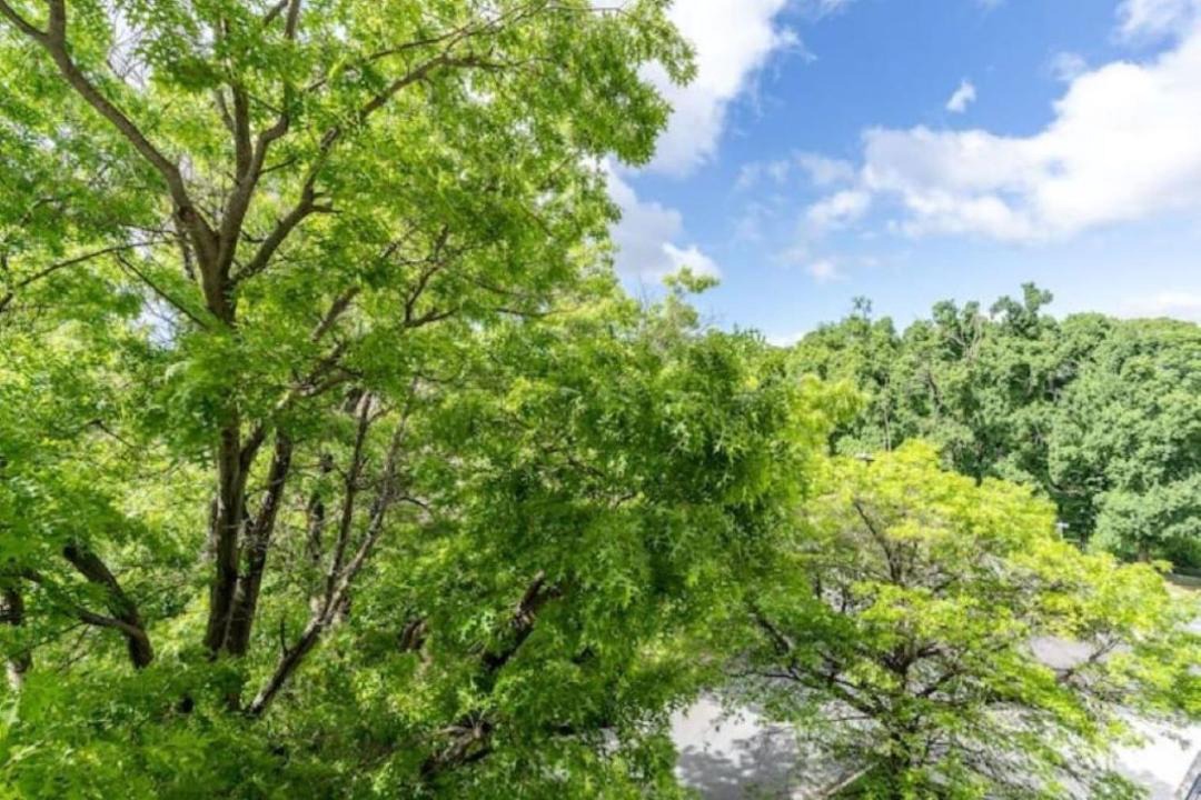Photo of Outdoor in Reid