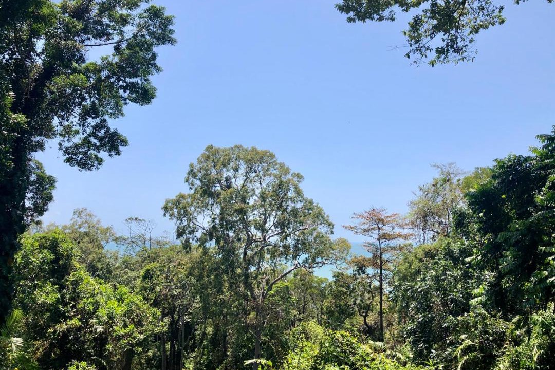 Photo of Outdoor in Rocky Point
