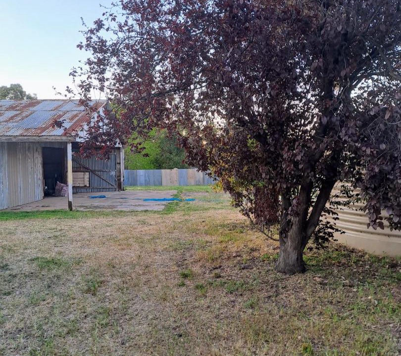 Photo of Others in Burra