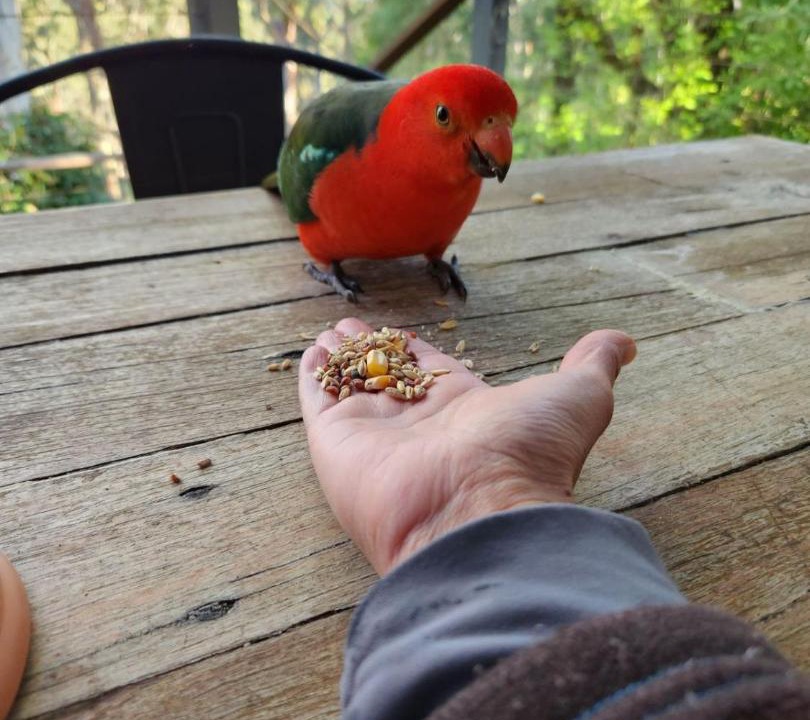 Photo of Others in Mount Macedon