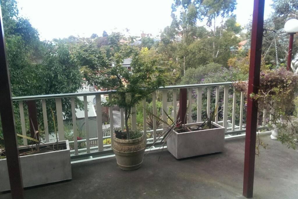 Photo of Others in West Hobart