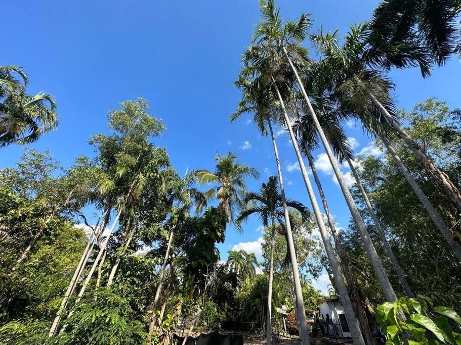 Photo of Outdoor in Karama