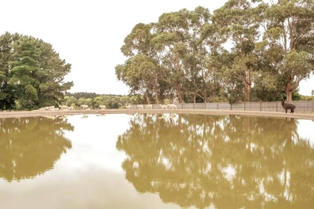 Photo of Outdoor in Balnarring