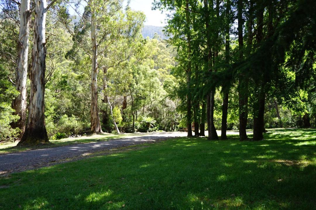 Photo of Outdoor in Merrijig