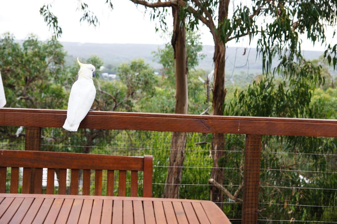 Photo of Others in Anglesea