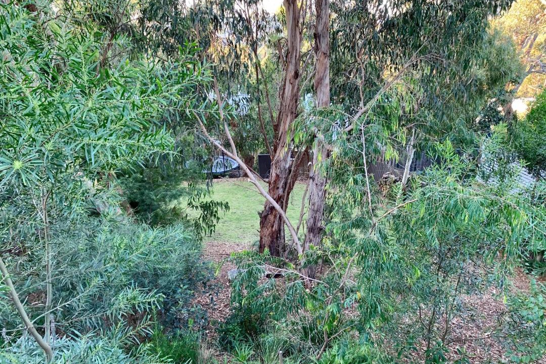 Photo of Others in Anglesea
