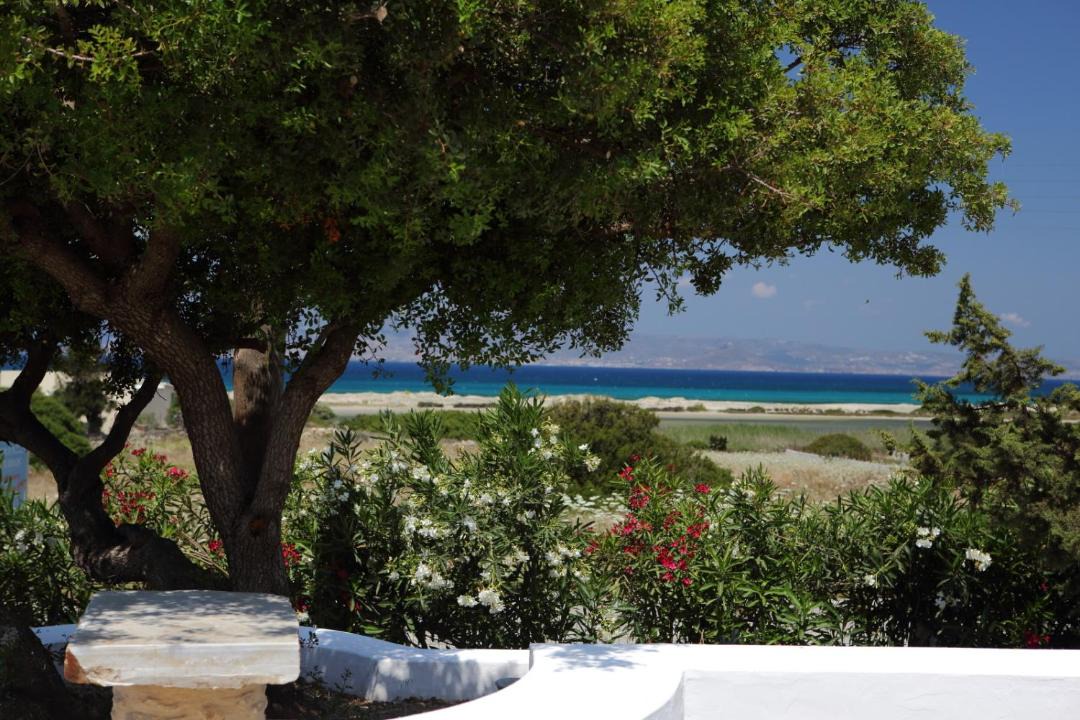 Photo of Others in Naxos