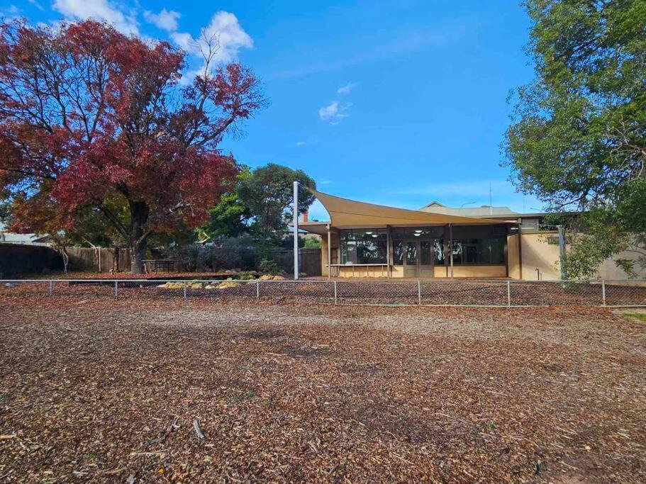 Photo of Buildings in Waikerie