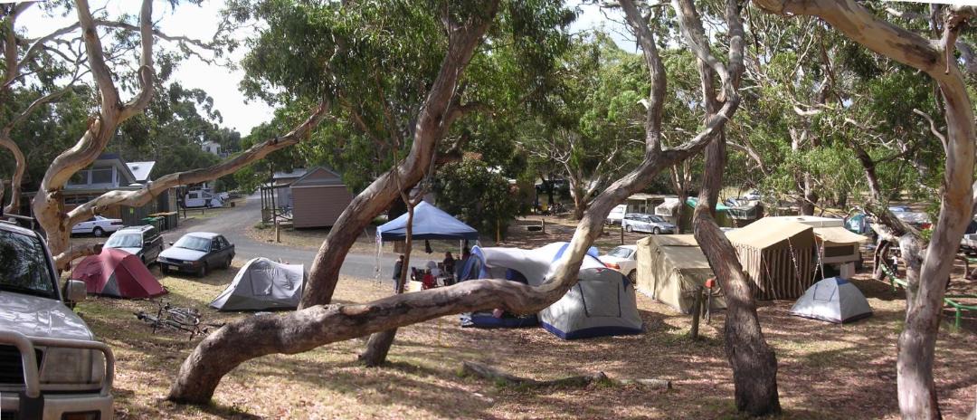 Photo of Others in Cape Otway
